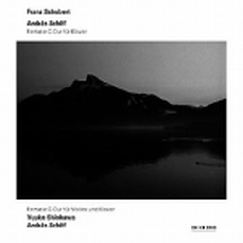 Wanderer Fantasie D 760, Fantasia per violino e pianoforte D 934  SCHUBERT FRANZ