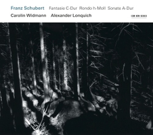 Sonata per violino D 574, Rondò D 895, Fantasia D 943  SCHUBERT FRANZ