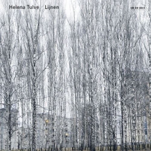 Lijnen  TULVE HELENA