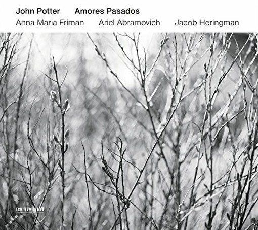 Amores Pasados  POTTER JOHN  ten