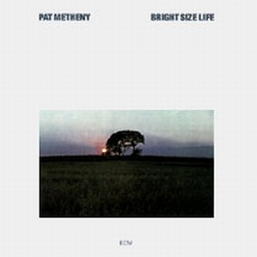 Bright Size Life  METHENY PAT
