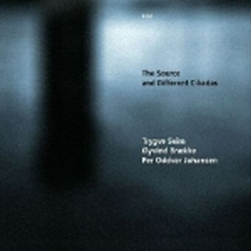 The Source and different Cikadas  SEIM TRYGVE