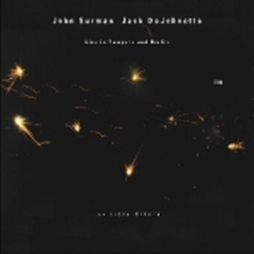 Invisible Nature  SURMAN JOHN