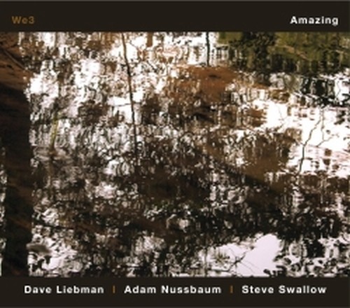 Amazing  LIEBMAN DAVE