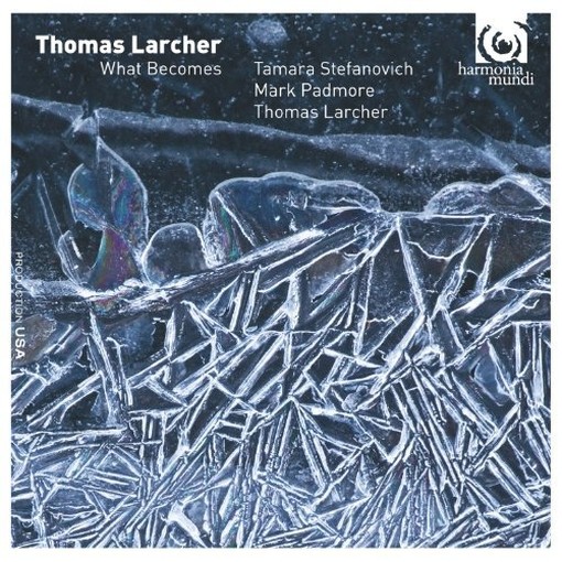 What Becomes  LARCHER THOMAS