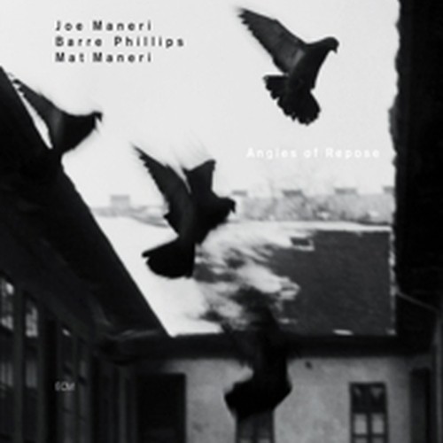 Angles of Repose  MANERI JOE