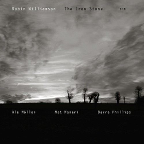 The Iron Stone  WILLIAMSON ROBIN