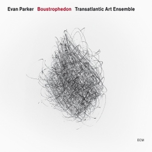 Boustrophedon  PARKER EVAN