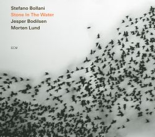 Stone in the Water  BOLLANI STEFANO