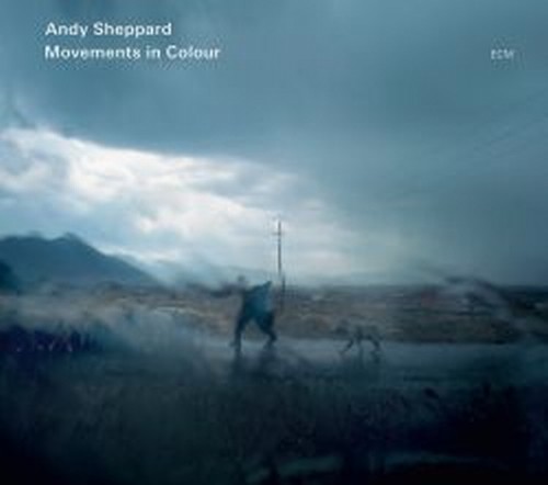 Movements in Colour  SHEPPARD ANDY