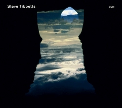 Natural Causes  TIBBETTS STEVE