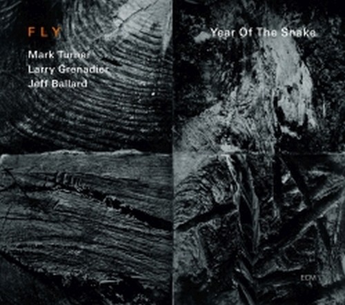 Year Of The Snake  FLY