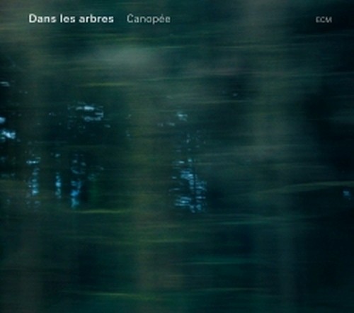 Canopée  DANS LES ARBRES