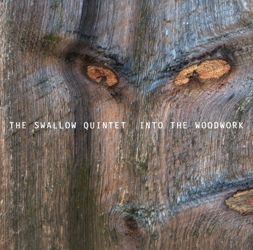 Into The Woodwork  SWALLOW STEVE