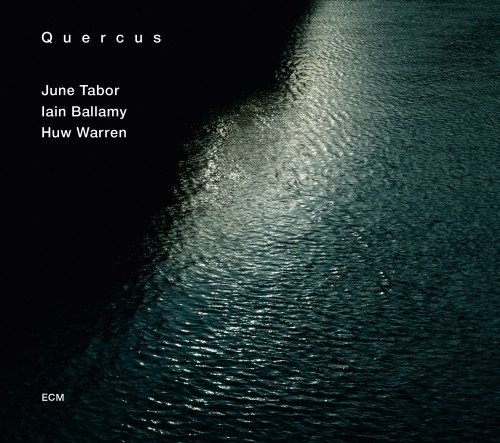 Quercus  TABOR JUNE