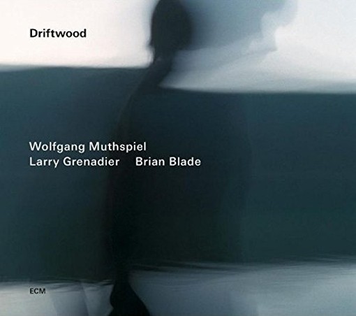 Driftwood  MUTHSPIEL WOLFGANG