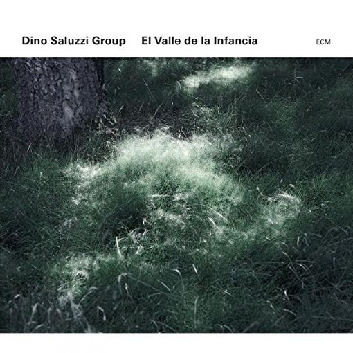 El Valle de La Infancia  SALUZZI DINO