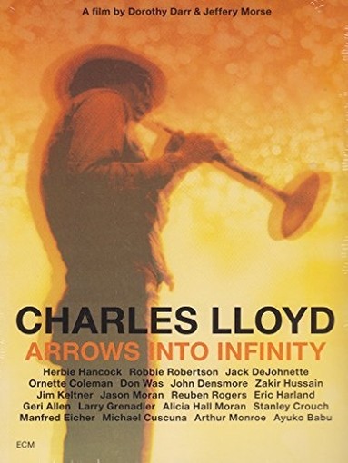 Arrows Into Infinity  LLOYD CHARLES