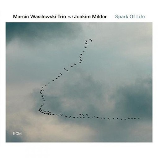 Spark of Life  MARCIN WASILEWSKI TRIO