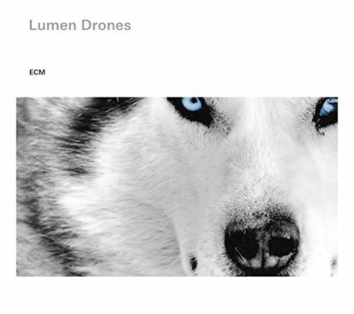 Lumen Drones  OKLAND N., STEINAR LIE P., HAALAND O.