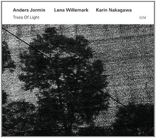 Trees Of Light  JORMIN ANDERS