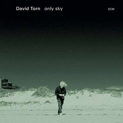Only Sky  TORN DAVID