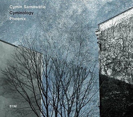 Phoenix  CYMINOLOGY