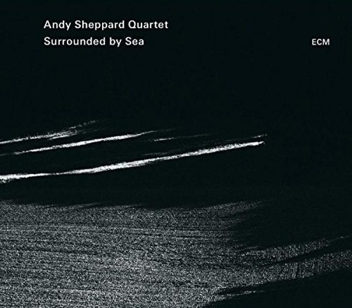 Surrounded by Sea  SHEPPARD ANDY