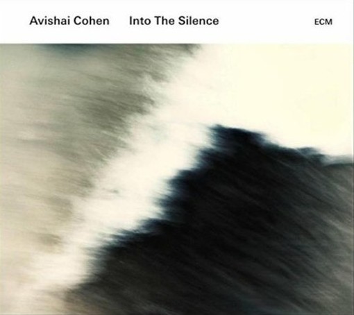 Into The Silence  COHEN AVISHAI