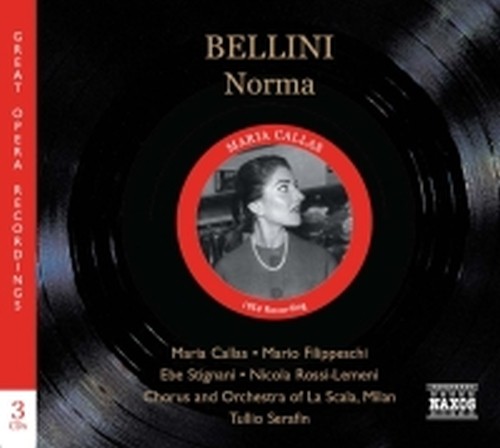 Norma  BELLINI VINCENZO