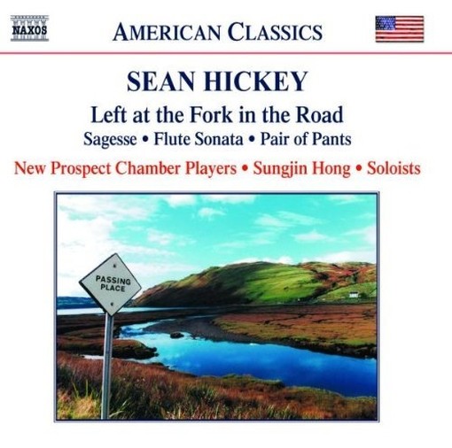 Left at the Fork in the Road  HICKEY SEAN