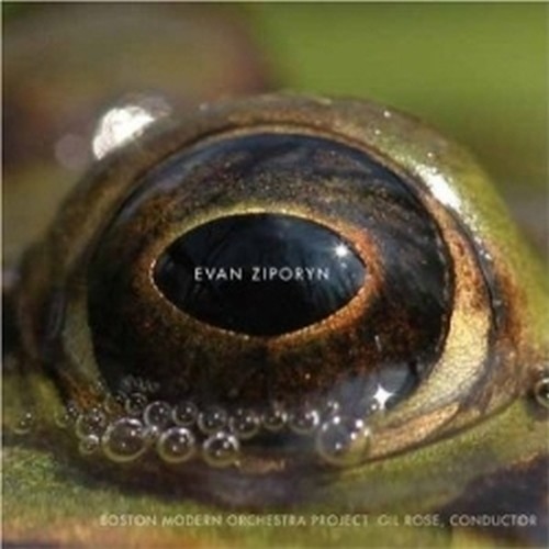 Frog's Eye  ZIPORYN EVAN