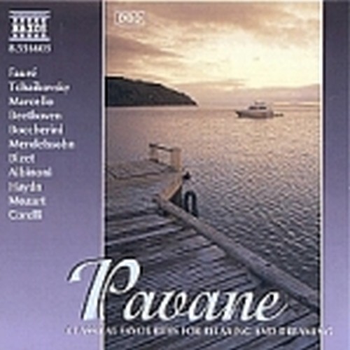 Pavane - Brani di FAURE', CIAIKOVSKY, MARCELLO, BEETHOVEN, BOCCHERINI...  VARI  