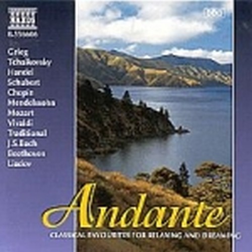 Andante - Brani di GRIEG, CIAIKOVSKI, HANDEL, SCHUBERT, CHOPIN, MENDELSSOHN, MOZ  VARI  