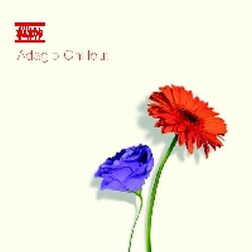 Adagio Chillout  VARI  