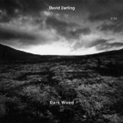 Dark Wood  DARLING DAVID