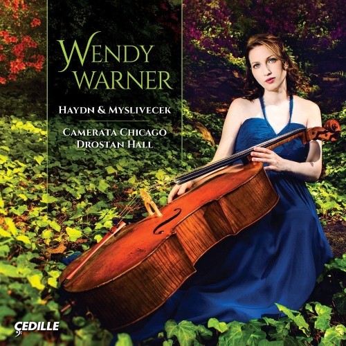 Concerti per violoncello  HAYDN FRANZ JOSEPH