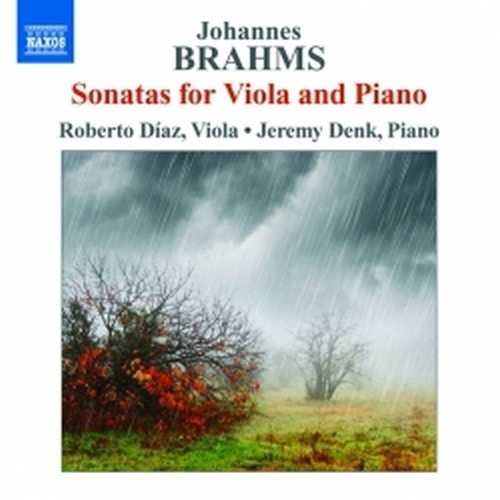 Sonate per viola op.120  BRAHMS JOHANNES