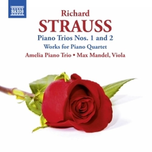 Trii con pianoforte, Brani per quartetto con pianoforte  STRAUSS RICHARD