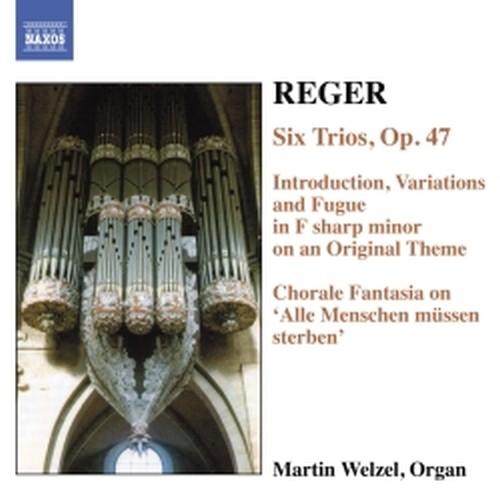 Opere per organo (integrale) Vol.6  REGER MAX
