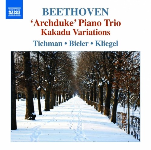 Trii per archi e pianoforte, Vol.5  BEETHOVEN LUDWIG VAN