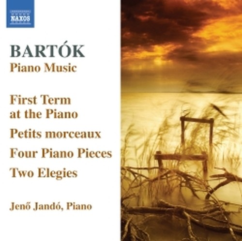 Piano Music Vol.6  BARTOK BELA