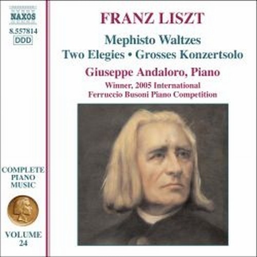 Opere per pianoforte (integrale), Vol.24  LISZT FRANZ