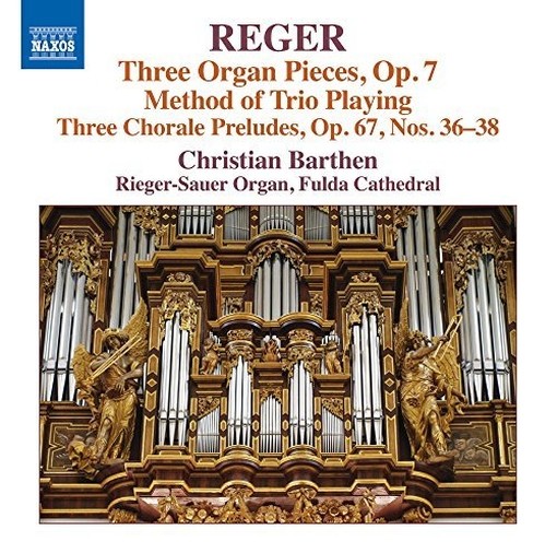Opere per organo (integrale), Vol.16  REGER MAX