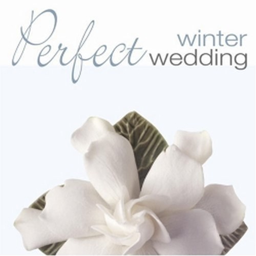 Perfect Winter Wedding  VARI