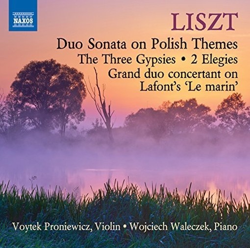 Opere per violino e pianoforte  LISZT FRANZ