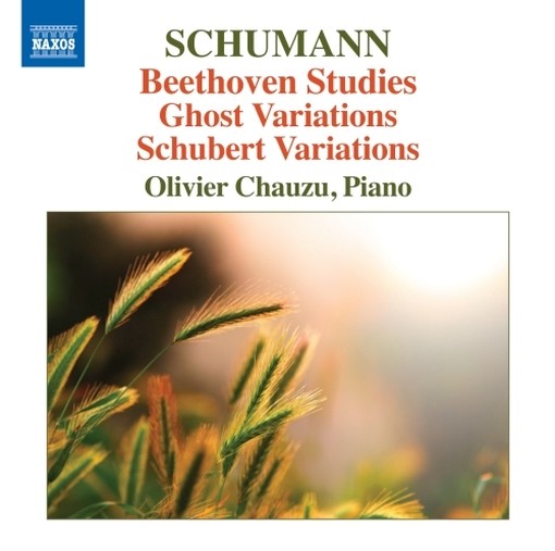Beethoven-Etüden Anh.F25, Geistervariationen Anh.F39, Sehnsuchtwalzervariationen  SCHUMANN ROBERT