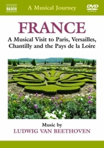 Francia: visita musicale di Parigi, Versailles, Chantilly e i Paesi della Loira  BEETHOVEN LUDWIG VAN