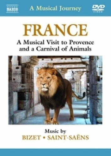Francia: tour musicale della Provenza e Carnevale degli animali  VARI