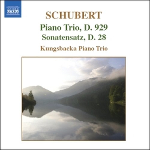 Trio n.2 D 929 op.100, Sonatensatz D 28  SCHUBERT FRANZ